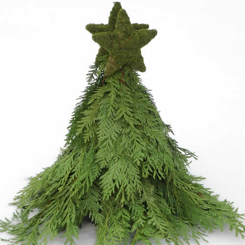 Holiday Tree